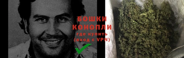 дживик Белокуриха