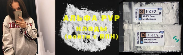 дживик Белокуриха