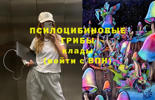 молекула духа Балахна