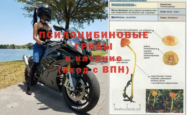 COCAINE Белоозёрский