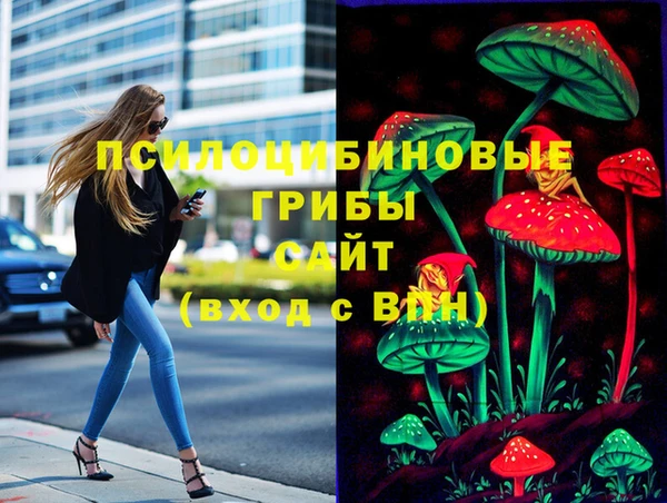 мяу мяу мука Беломорск