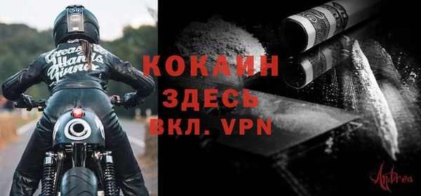 дживик Белокуриха