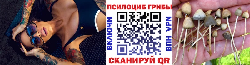 Псилоцибиновые грибы мицелий  OMG онион  Армавир 